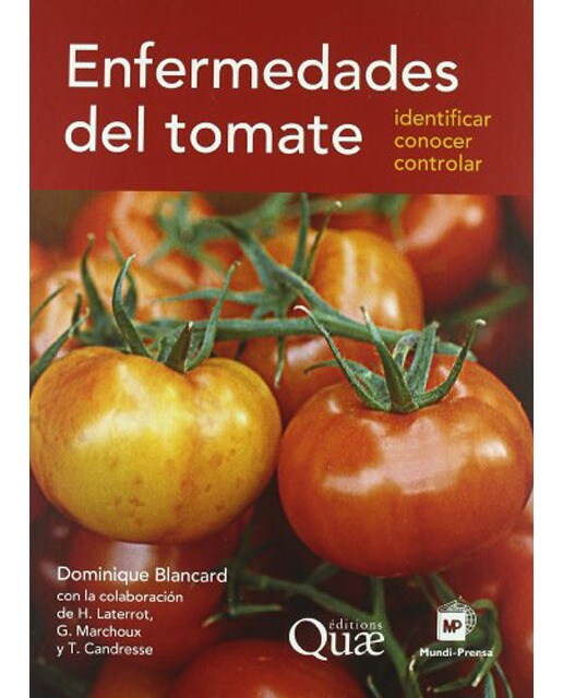 Enfermedades del tomate (Capa mole) 1