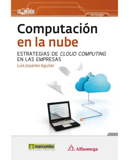 Computación en la nube: estrategias de Cloud Computing en las empresas (Capa mole) 1