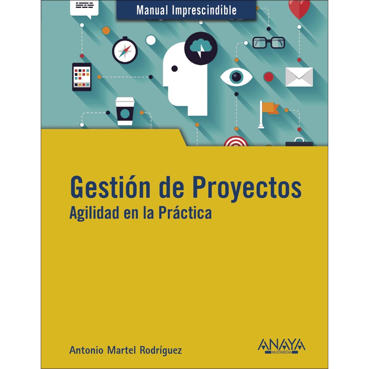 Imagem 0 de Gestión de Proyectos. Agilidad en la Práctica (Capa mole)