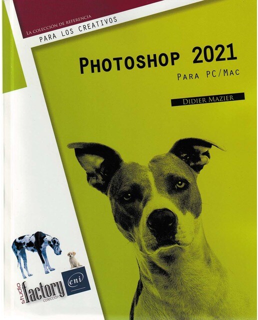 Photoshop 2021: Para PC/Mac 1