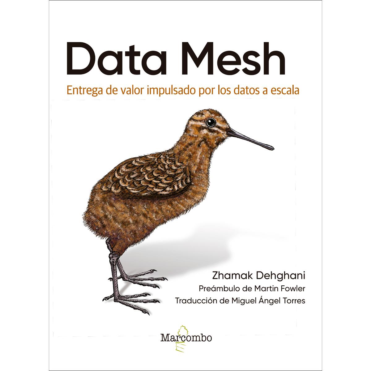 Data Mesh (Capa mole) 1
