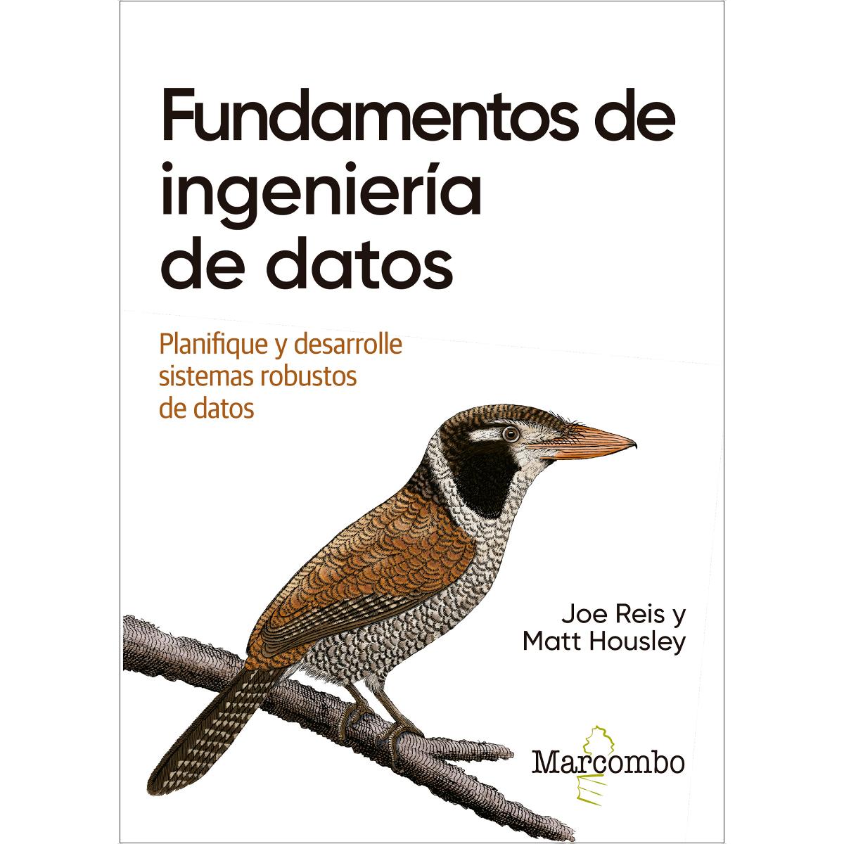 Fundamentos de ingeniería de datos: Planifique y desarrolle sistemas robustos de datos (Capa mole) 1