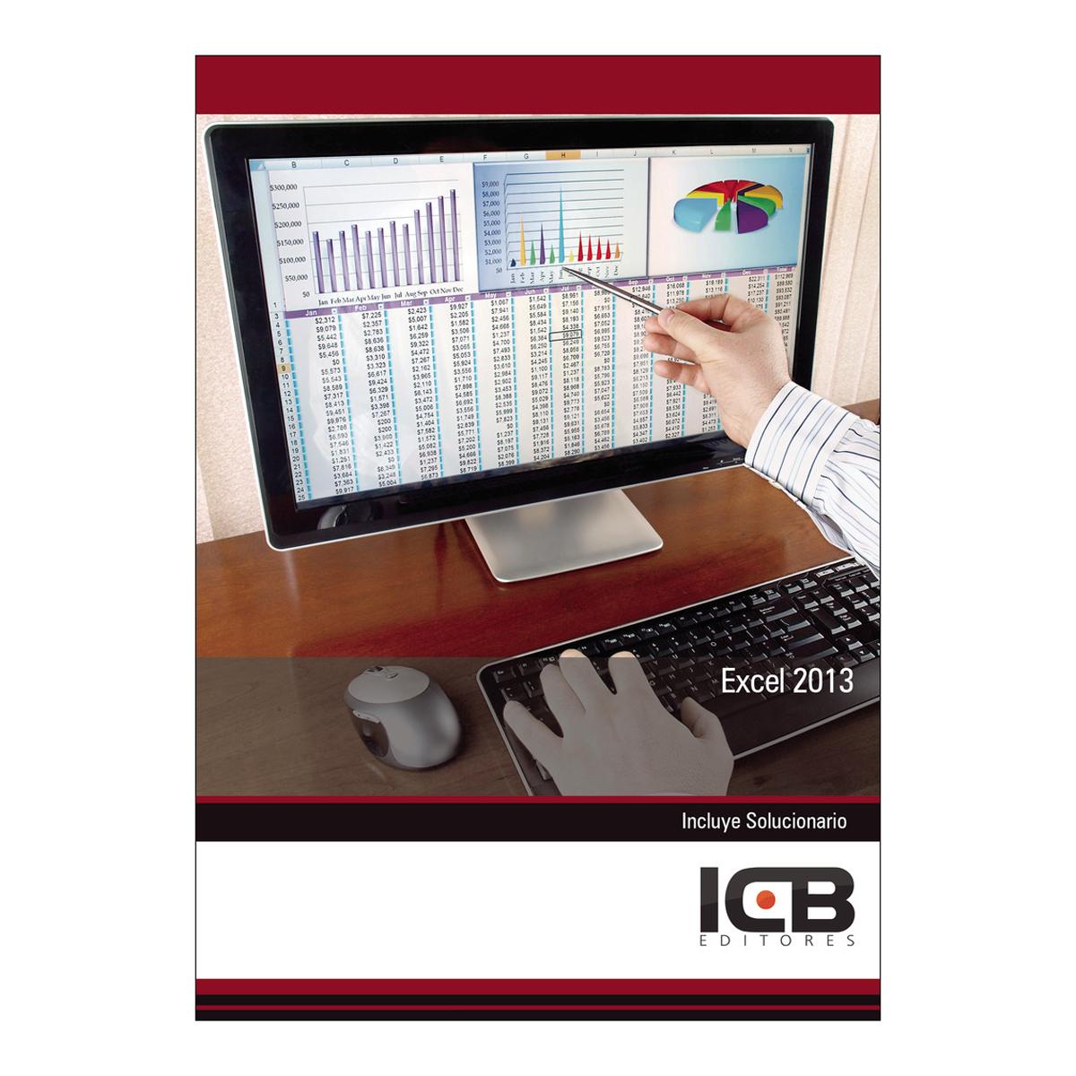 Excel 2013 (Capa mole) 1