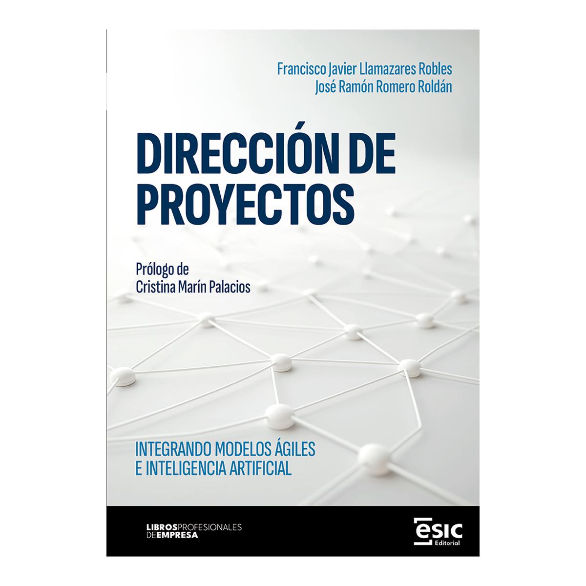 Imagem 0 de Direccion de proyectos
