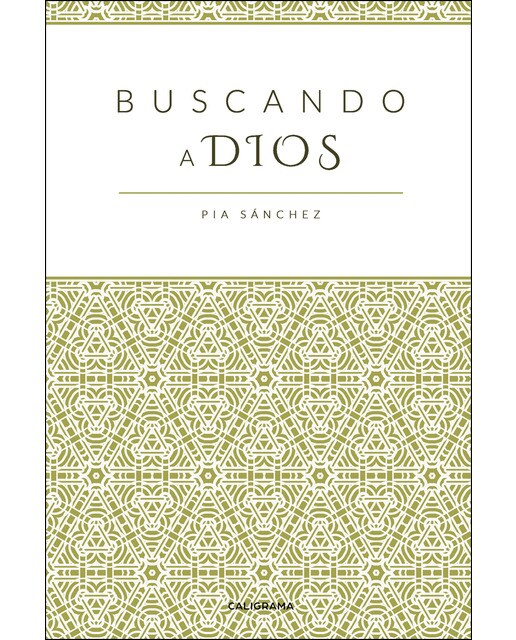 Buscando a Dios (Capa mole) 1