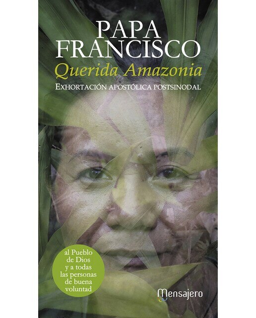 Querida amazonia: Exhortación apostólica postsinodal 1