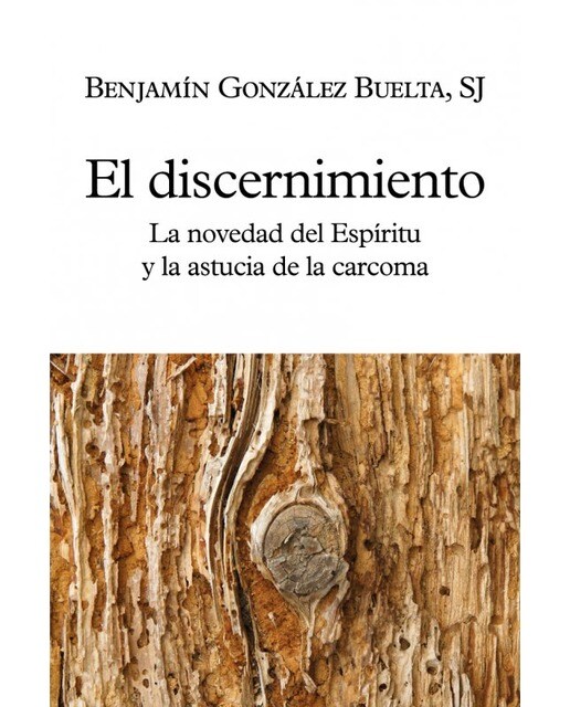 Imagen 0 de El discernimiento: La novedad del Espíritu y la astucia de la carcoma (Tapa blanda)
