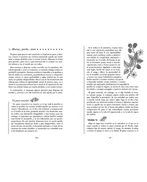 En mi bosque interior: Un reencuentro con la espiritualidad natural en la vida moderna(Tapa dura) 3