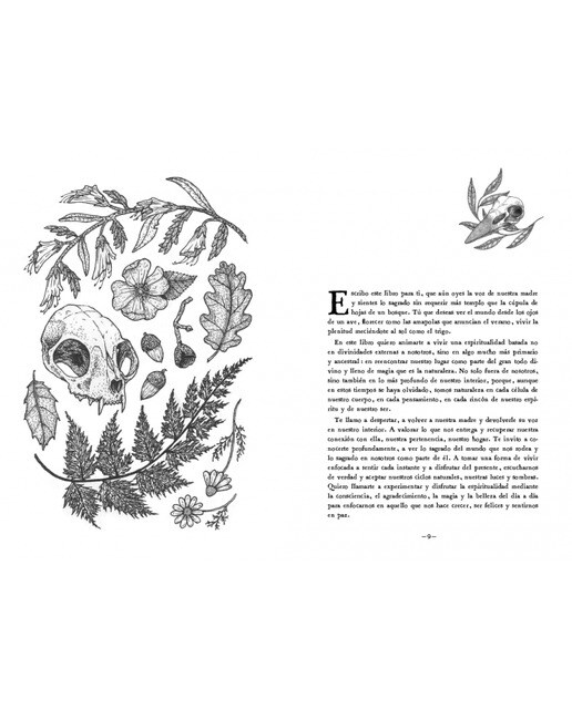 En mi bosque interior: Un reencuentro con la espiritualidad natural en la vida moderna(Tapa dura) 5