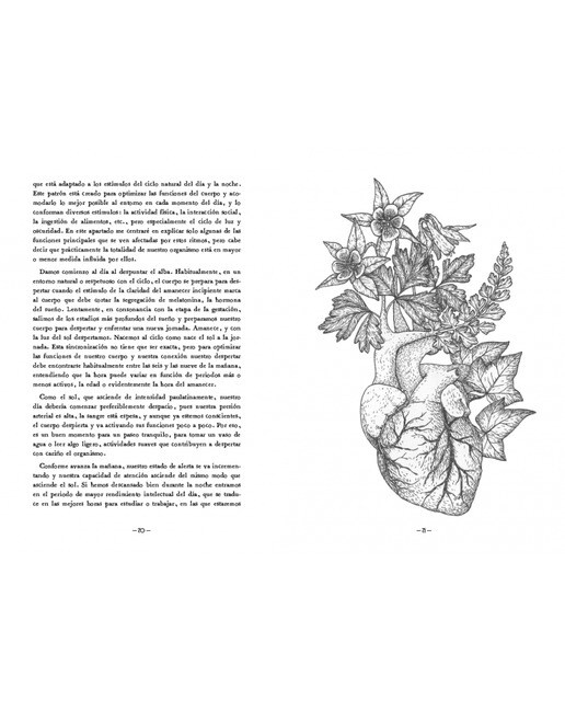 En mi bosque interior: Un reencuentro con la espiritualidad natural en la vida moderna(Tapa dura) 6