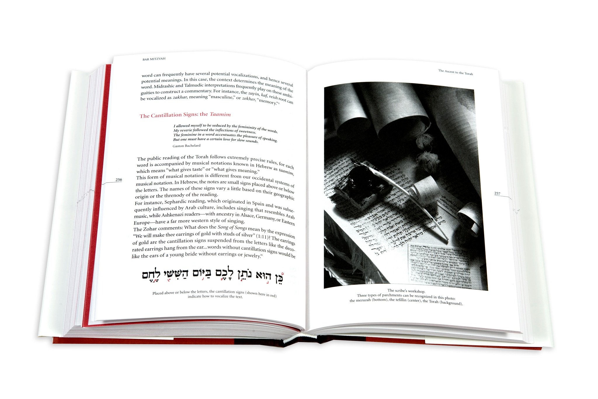 Bar mitzvah 5