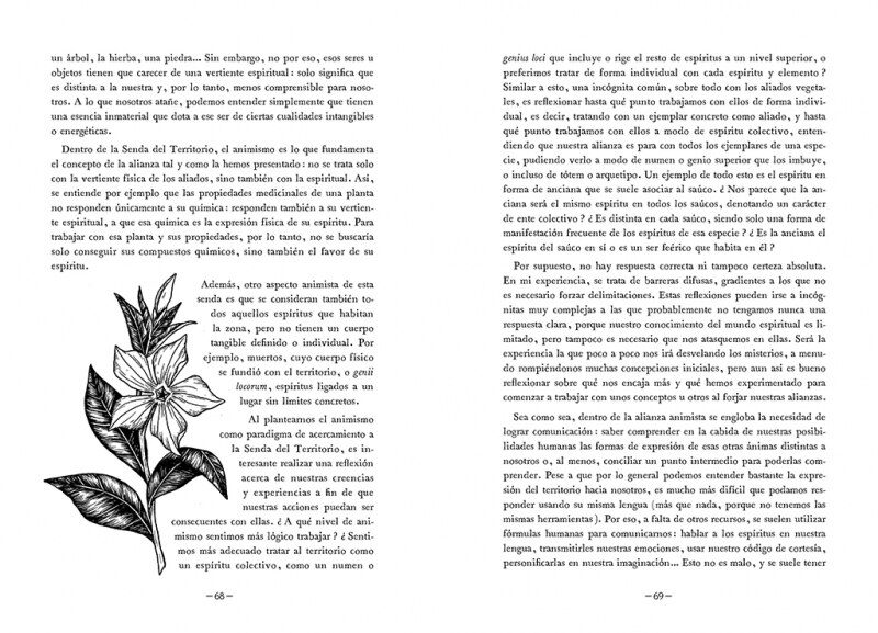 Hacia lo salvaje: La senda espiritual del territorio(Tapa dura) 2