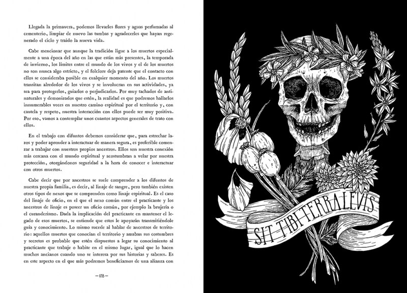 Hacia lo salvaje: La senda espiritual del territorio(Tapa dura) 3