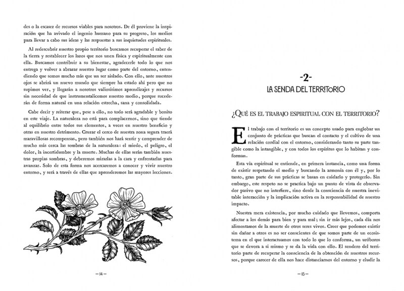 Hacia lo salvaje: La senda espiritual del territorio(Tapa dura) 4