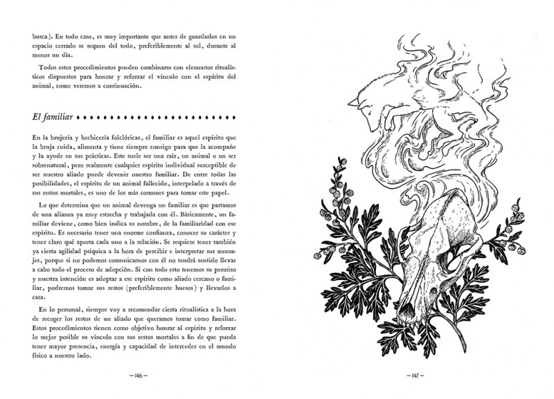 Hacia lo salvaje: La senda espiritual del territorio(Tapa dura) 5