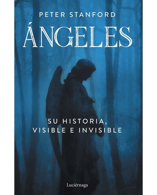 Ángeles: Su historia visible e invisible (Capa mole com abas) 1