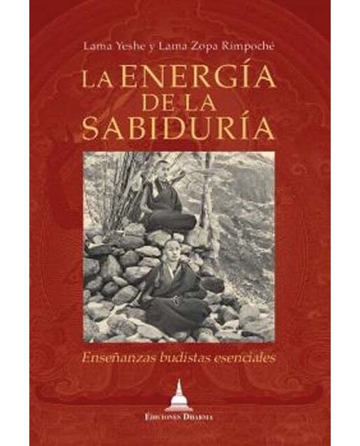 Imagen 1 de La energía de la sabiduría
