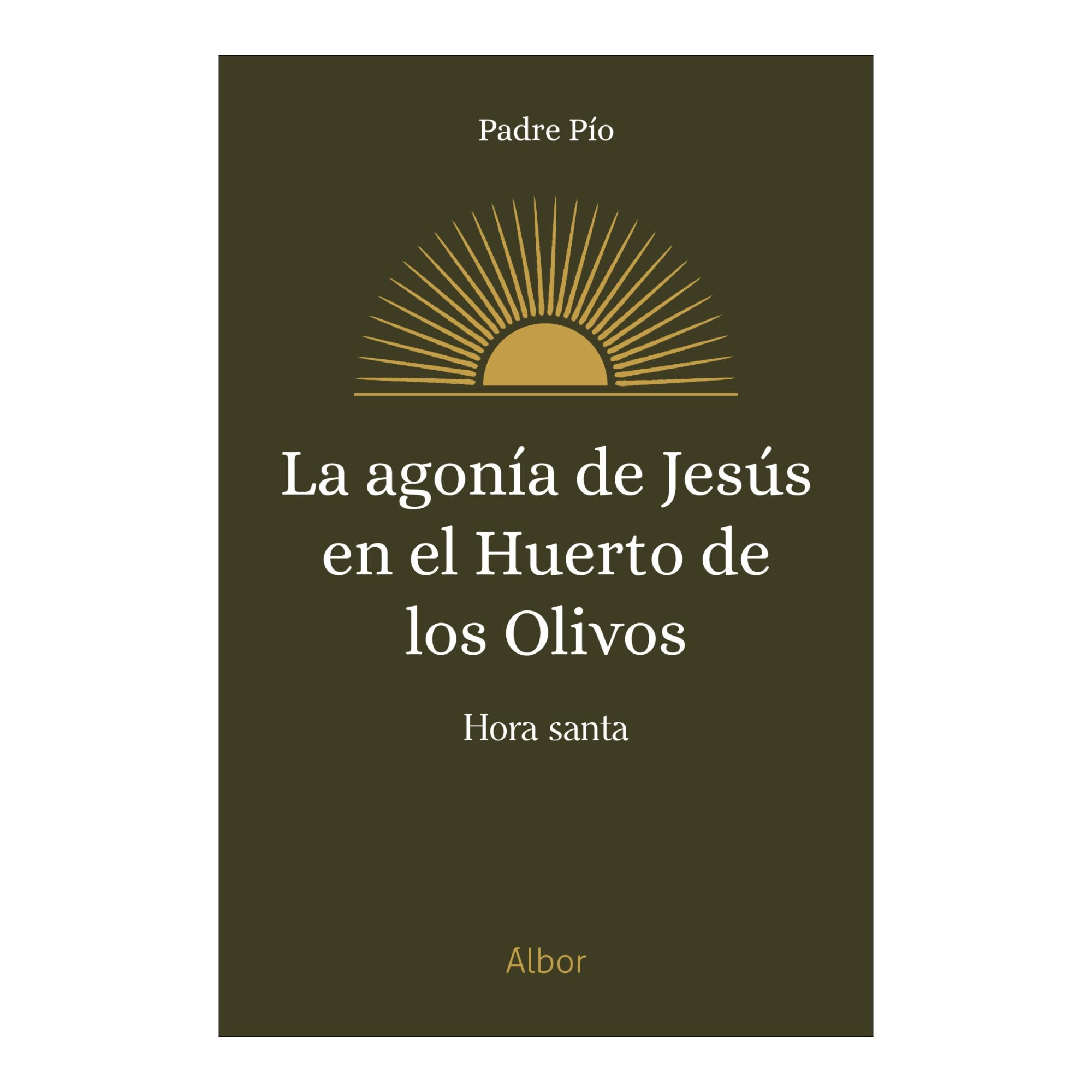La agonía de Jesús en el huerto de los olivos (Capa mole com abas) 1