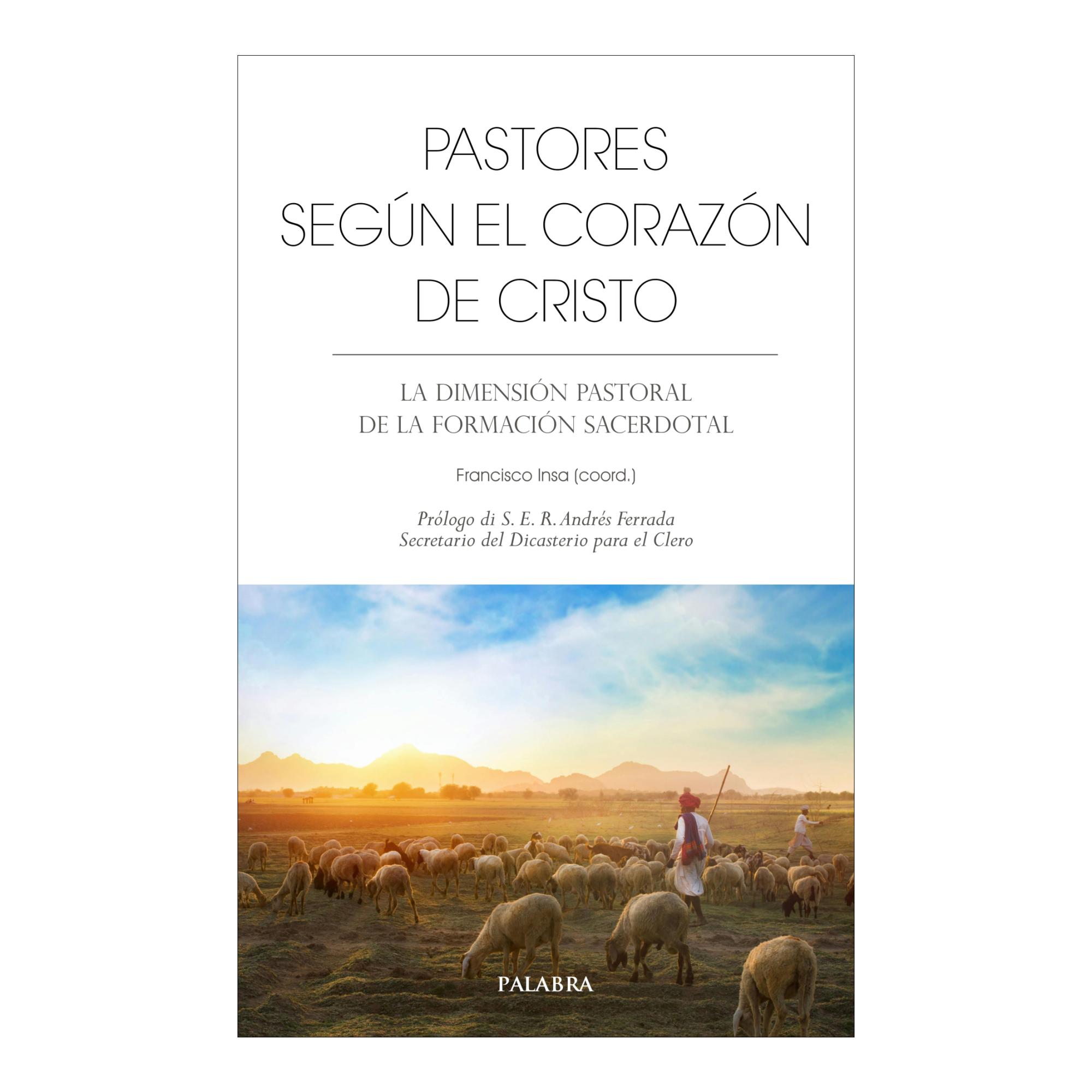 Imagem 0 de Pastores según el corazón de Cristo: La dimensión pastoral de la formación sacerdotal (Capa mole com abas)