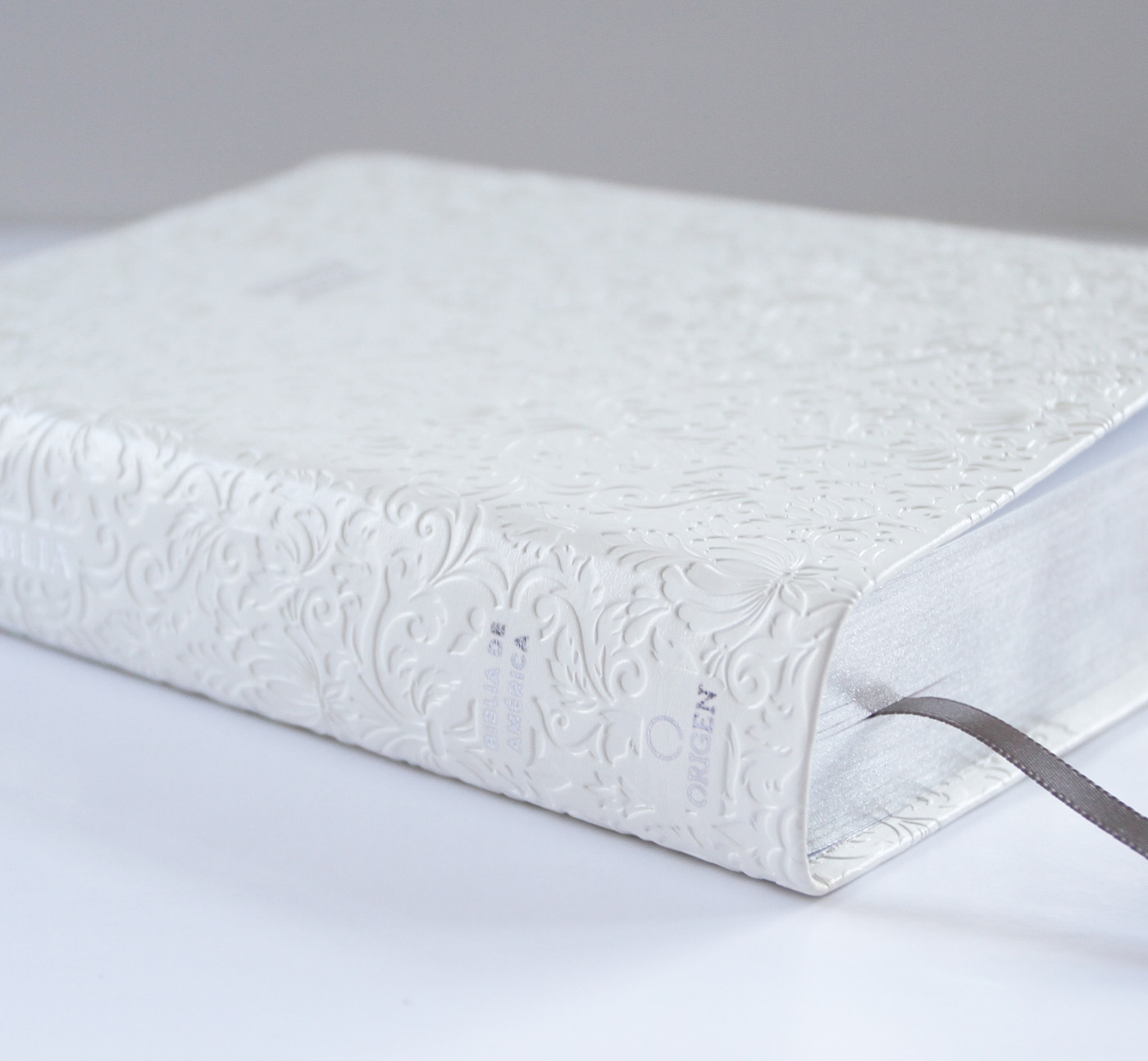LA BIBLIA CATÓLICA EN ESPAÑOL. BODA, BAU  (Capa Mole) 5