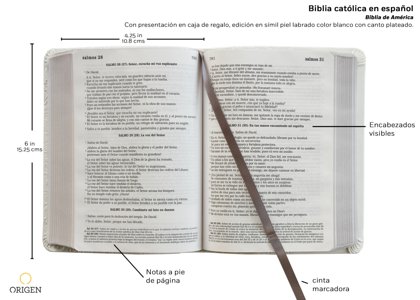 LA BIBLIA CATÓLICA EN ESPAÑOL. BODA, BAU  (Capa Mole) 6