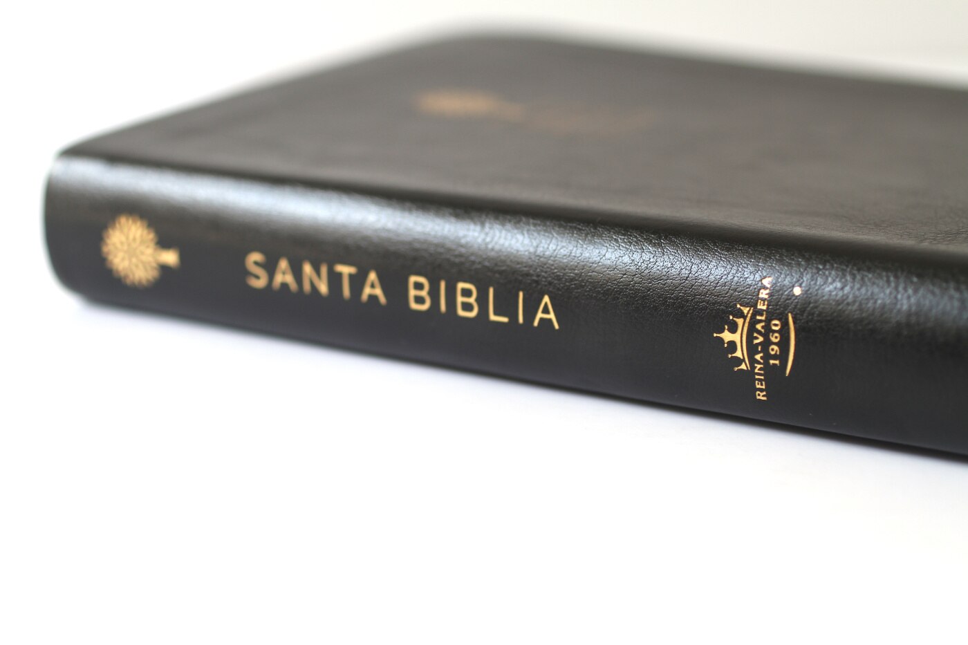 Biblia. Reina Valera 1960 (Tapa blanda) 4