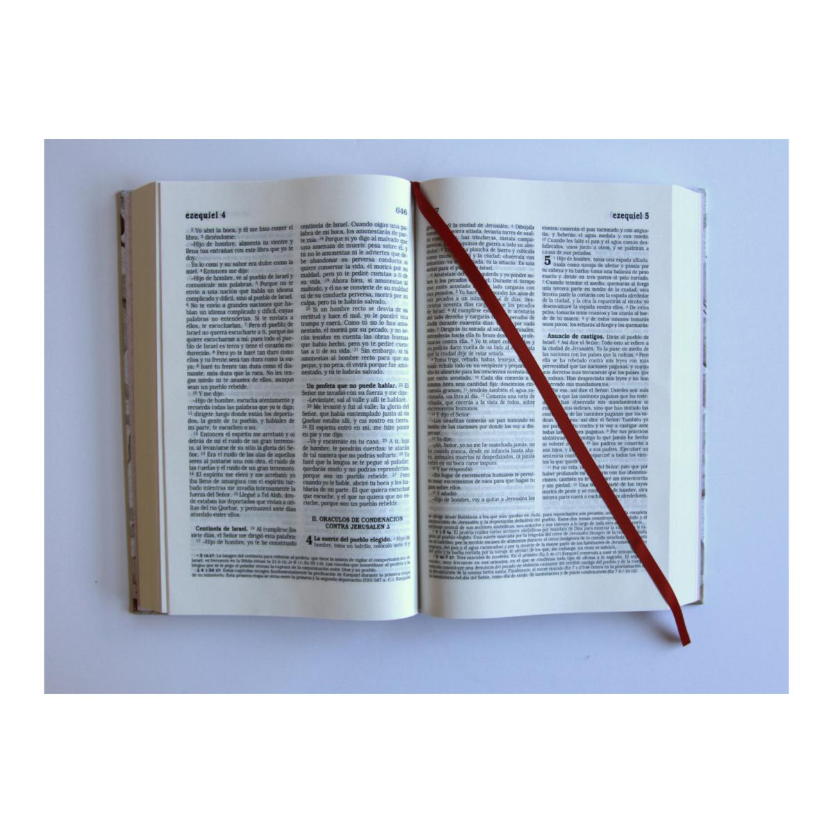 LA BIBLIA CATÓLICA: EDICIÓN LETRA GRANDE  (Capa Dura) 8