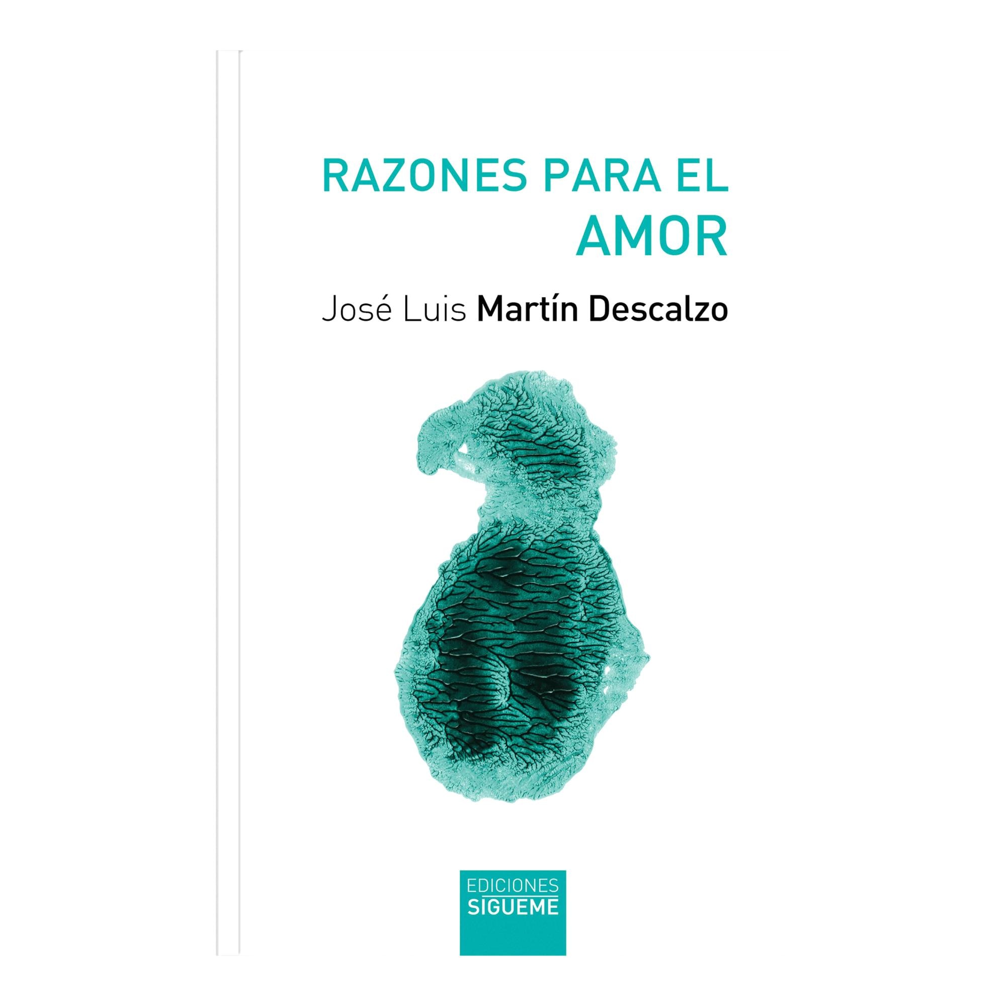 Imagen 0 de RAZONES PARA EL AMOR (Tapa blanda)
