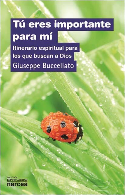 Imagem 0 de Tú eres importante para mí: Itinerario espiritual para los que buscan a Dios (Capa mole)
