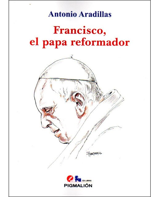 Francisco, el papa reformador(Tapa blanda) 1
