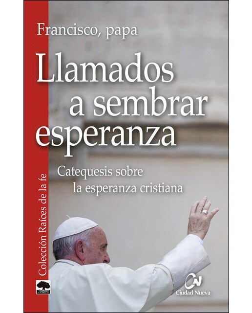 Llamados a sembrar esperanza: Catequesis sobre la esperanza cristiana (Capa mole) 1