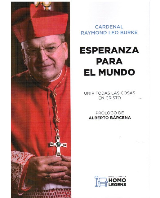 Imagem 0 de ESPERANZA PARA EL MUNDO: UNIR TODAS LAS COSAS EN CRISTO (Capa mole)