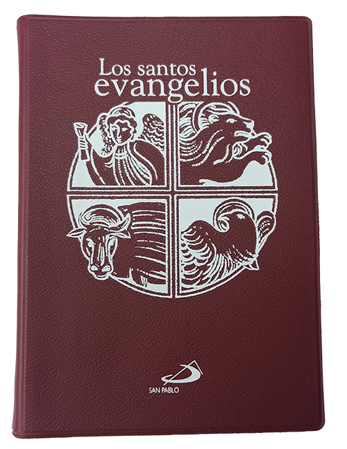 Los Santos Evangelios: Recuerdo de mi Primera Comunión (funda opaca)  (Tapa blanda) 1
