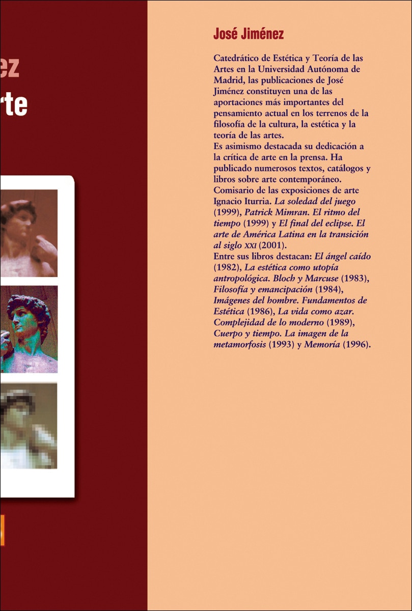Teoría del arte (Capa mole com abas) 1