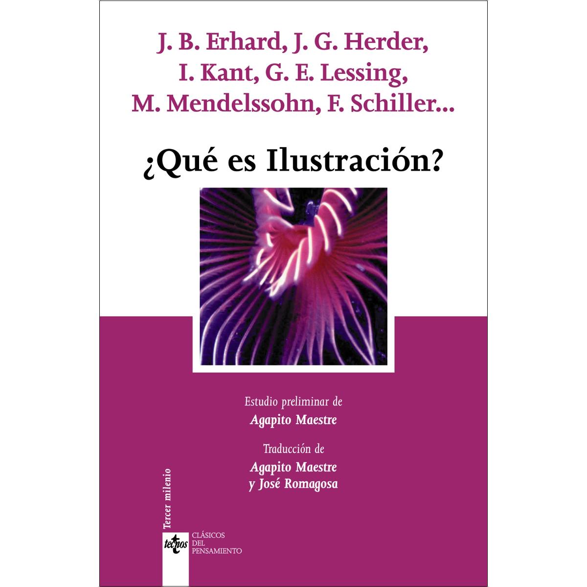 ¿Qué es Ilustración? (Capa mole com abas) 1