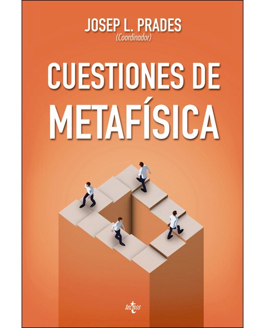 Cuestiones de metafísica: Serie de Filosofía de la Sociedad Española de Filosofía Analítica (Capa mole com abas) 1