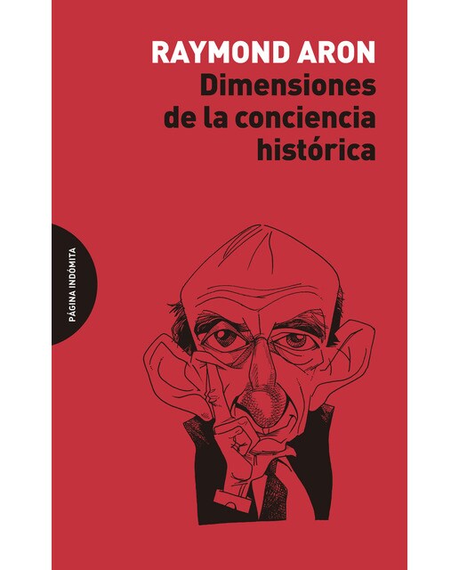 Dimensiones De La Conciencia Histórica 1