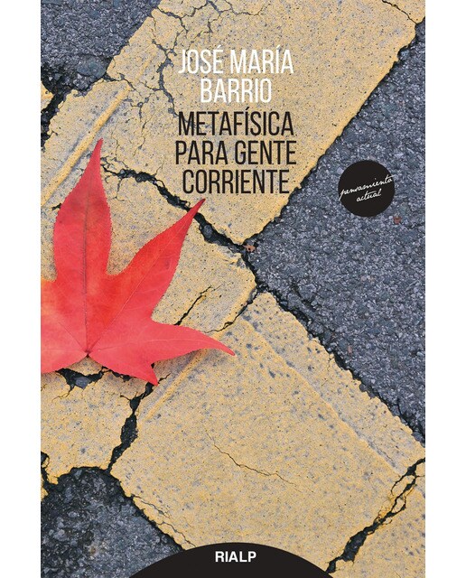 Metafísica para gente corriente: Metafísica para insatisfechos(Tapa blanda) 1