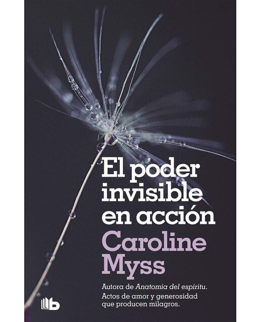 Imagen 0 de El poder invisible en acción (Bolsillo) (Tapa blanda)