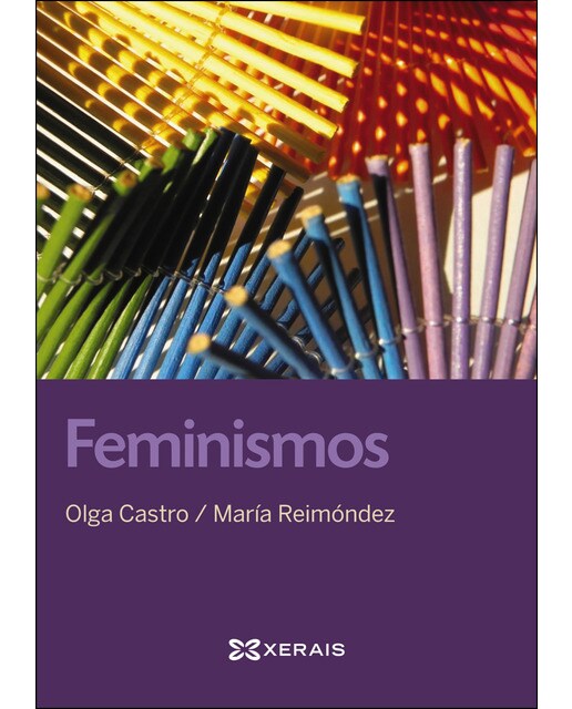 Feminismos (Capa mole com abas) 1