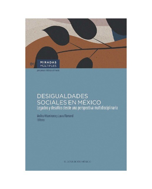 Desigualdades sociales en méxico 1