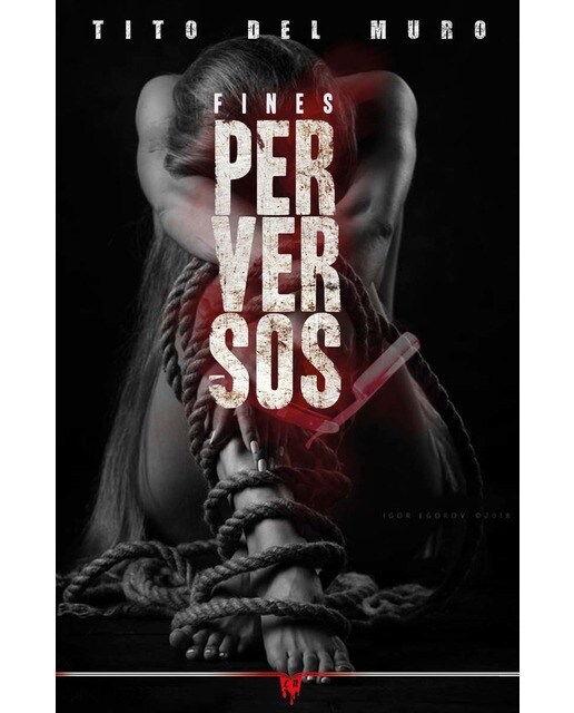 Fines perversos (Capa mole) 1