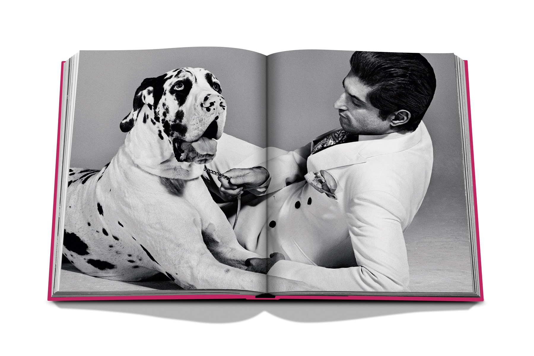 Chic dogs 5
