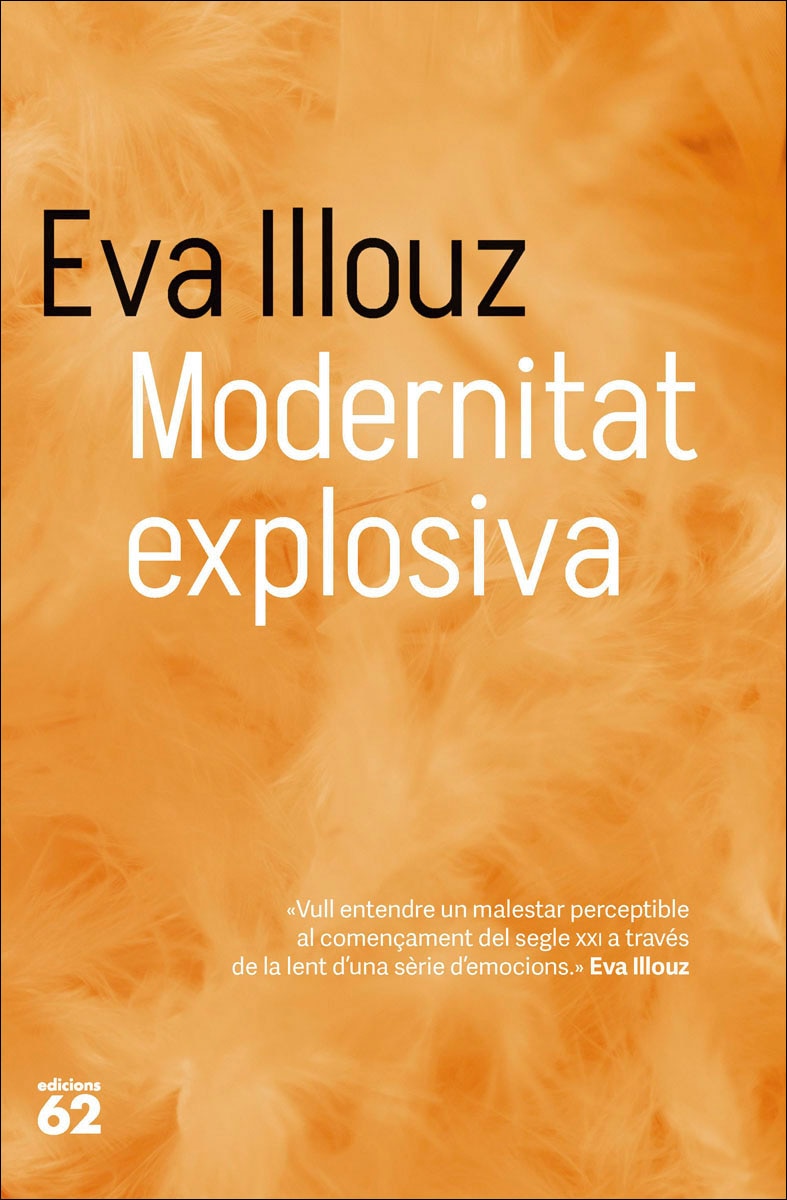 Modernitat explosiva (Capa mole com abas) 1