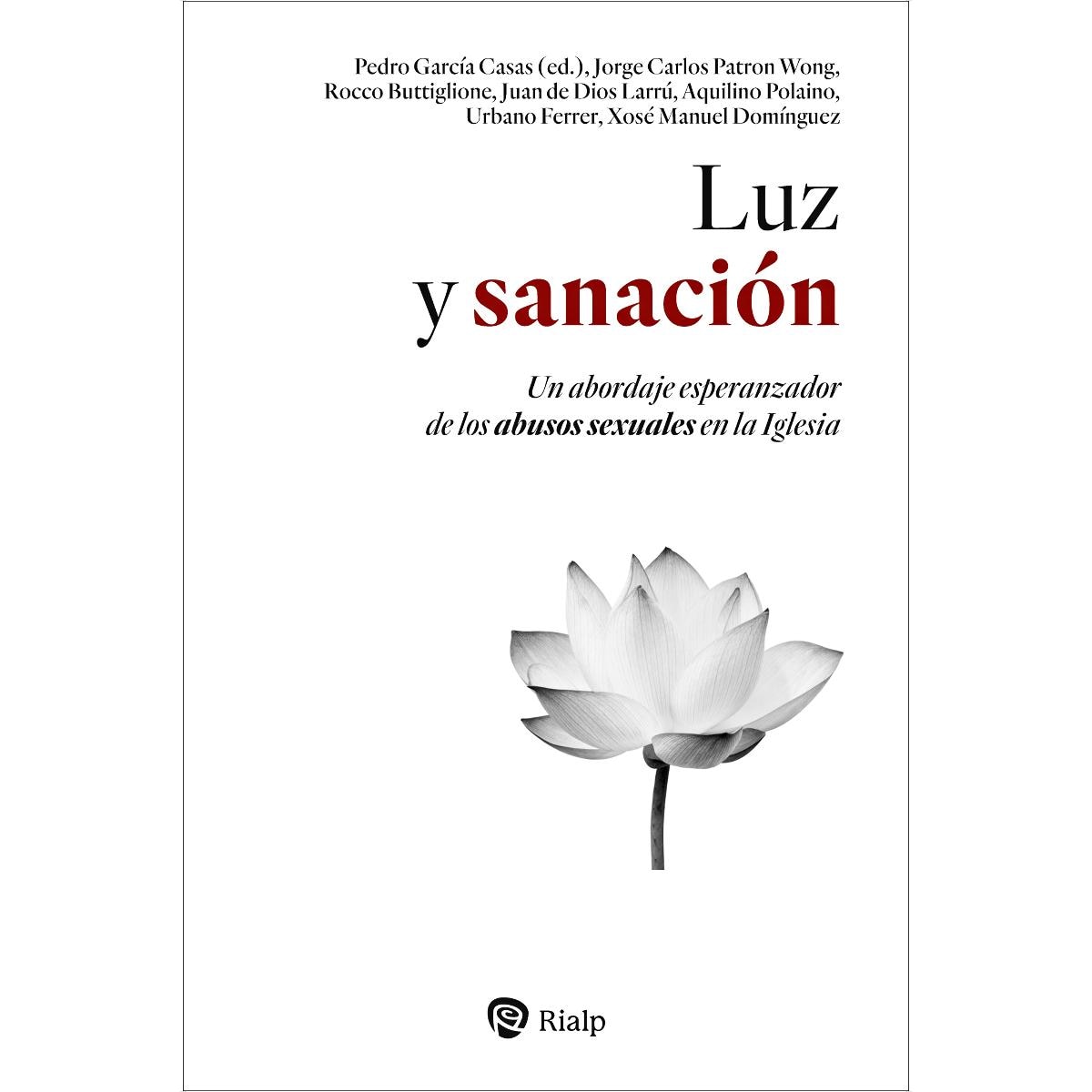 Luz y sanación: Un abordaje esperanzador de los abusos sexuales en la Iglesia (Capa mole) 1