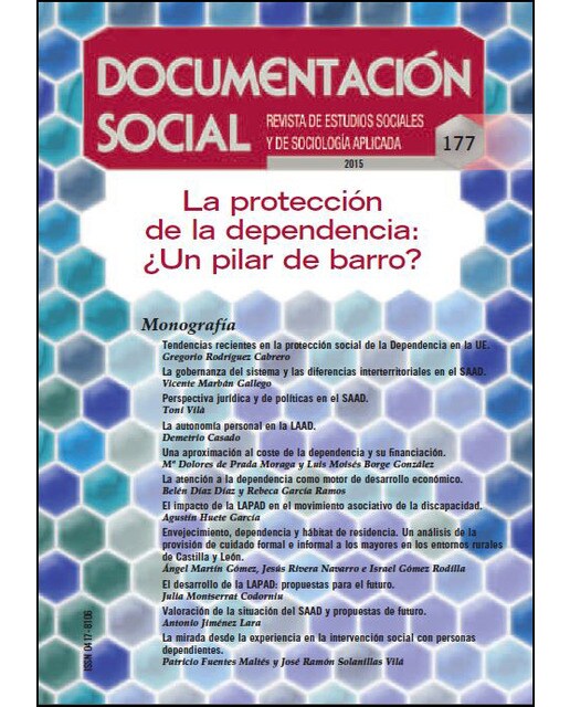 La Protección Dependencia ¿Un Pilar De Barro? 1