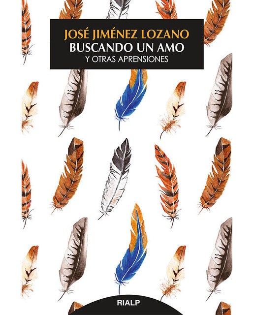Buscando un amo: Y otras aprensiones(Tapa blanda) 1