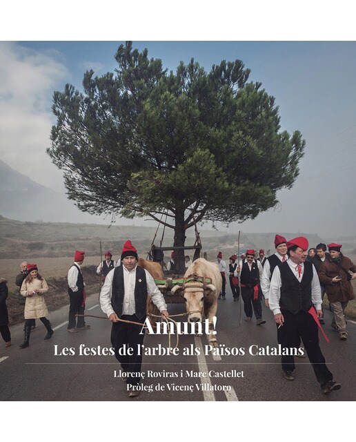 Imagem 0 de Amunt!: Les festes de l'arbre als països catalans(Tapa blanda)