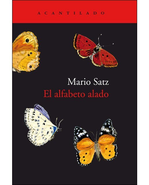 El Alfabeto Alado 1