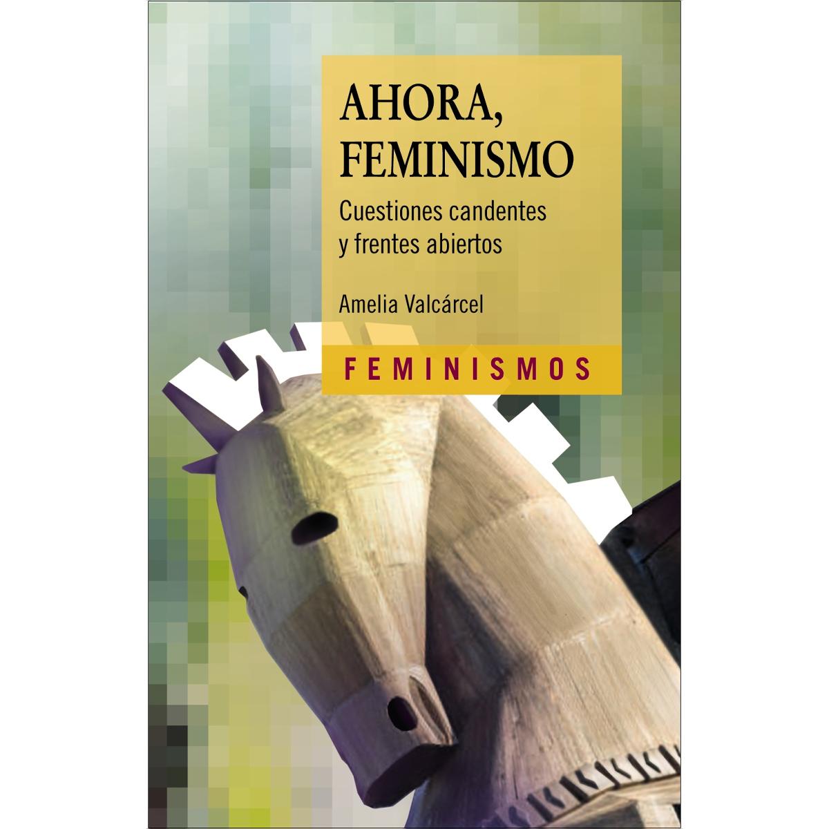 Ahora, Feminismo: Cuestiones candentes y frentes abiertos (Capa mole) 1
